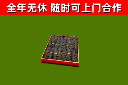 惠东县回收海参